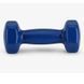 Гантель с виниловым покрытием 2 кг Feel Fit 1 шт Синий M-0289-2-RD фото 2