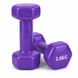 Набор металлических гантель с виниловым покрытием 2 кг Feel Fit фиолетовая 2 шт M-0289-2-RD2 фото